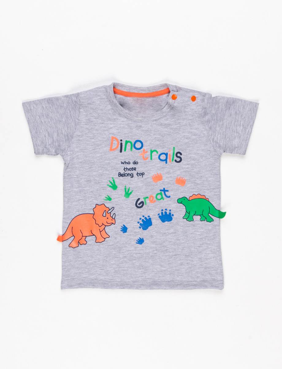Camiseta Dinosaurios gris | CAMISETAS Y POLOS | CAMISETAS Y POLOS | BEBES  NIÑOS | INFANTIL | Moda RM Tienda Online
