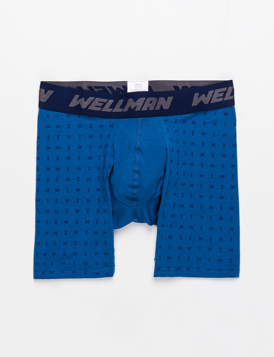 Boxer Wellman Prints azul