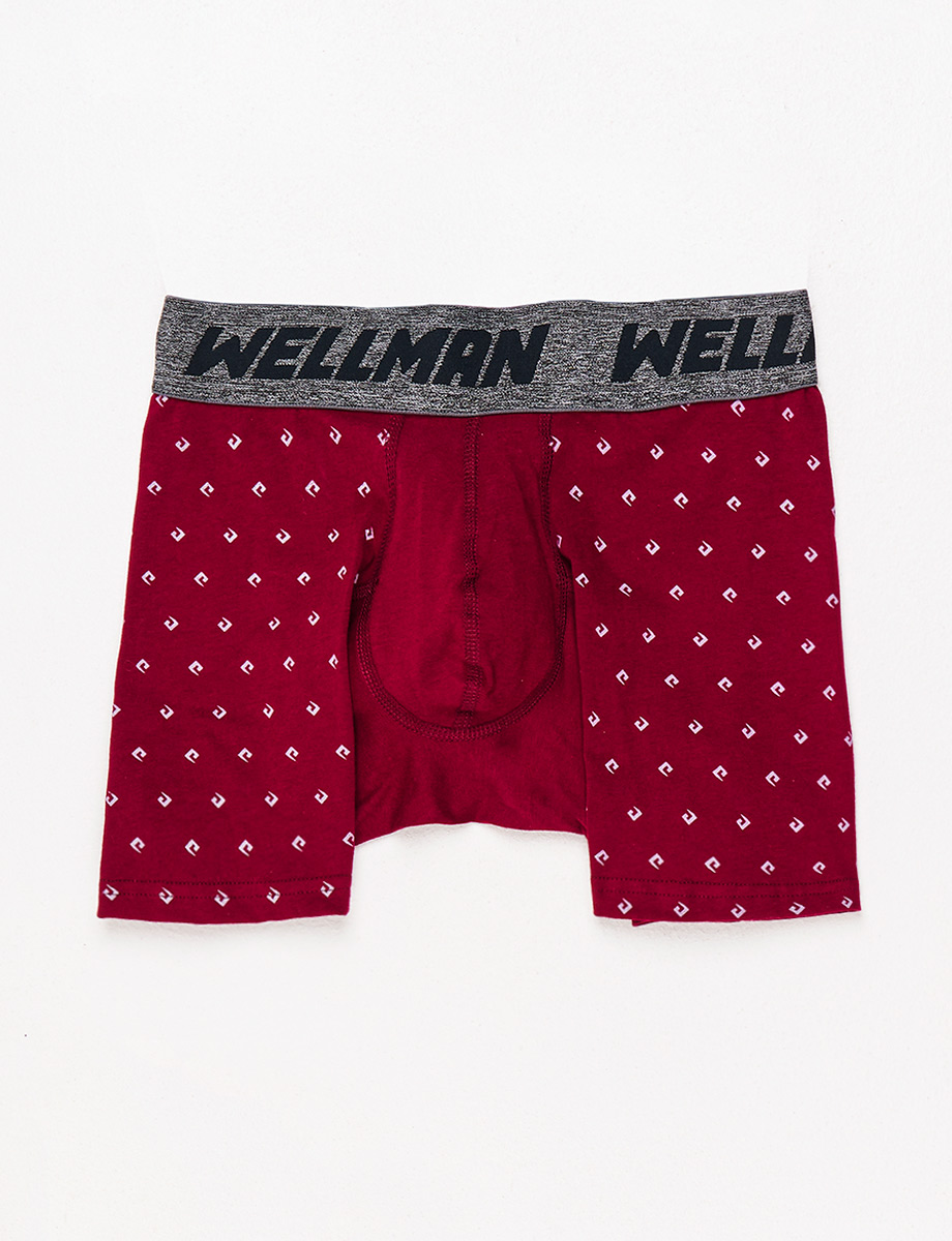 Boxer Wellman vino con prints