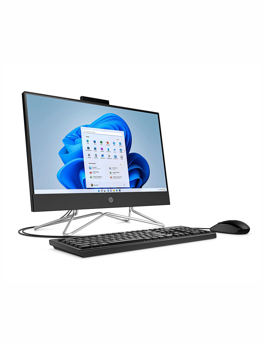 HP All-in-One Intel Celeron 256 GB Negro