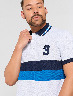 Polo Bloques de Color