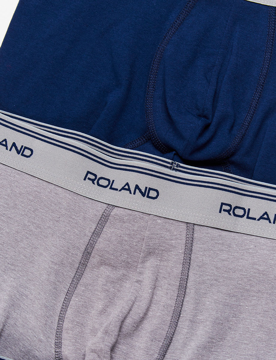 Boxer x3 Roland Varios