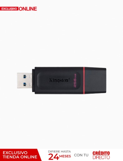 Flash Memory Exodia 256GB Usb 3.2 | Kingston