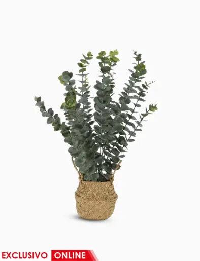 Planta Artificial Eucalipto | Koopman