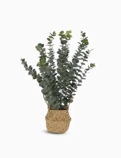 Planta Artificial Eucalipto | Koopman