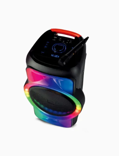 Parlante Portátil 40Watts Negro