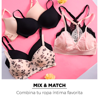 ROPA-INTIMA-2.png